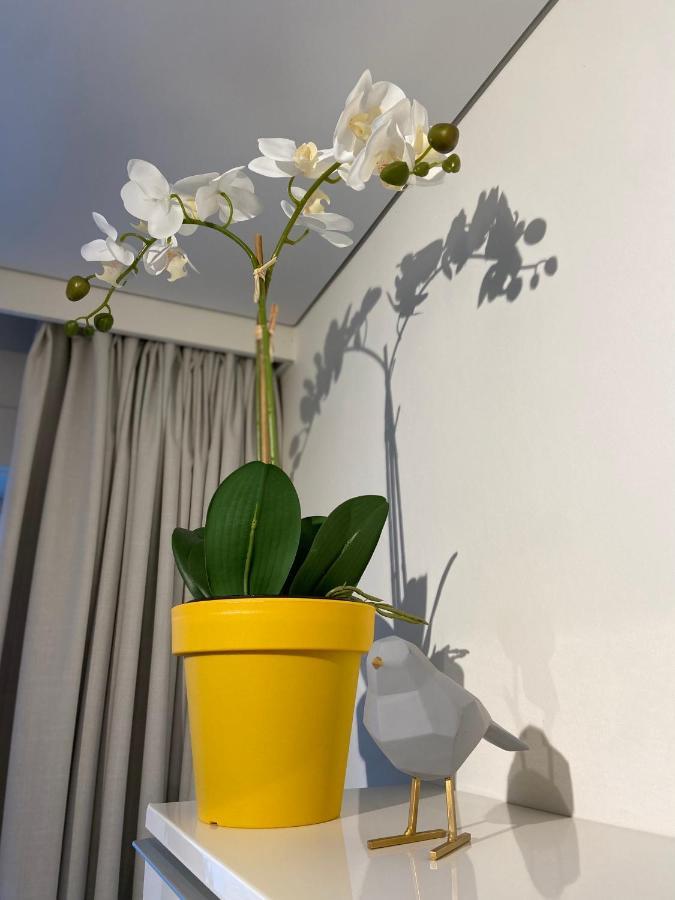 Moderne Studio Aan Zee Διαμέρισμα Οστένδη Εξωτερικό φωτογραφία